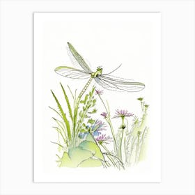 Dragonfly In Garden Pencil Illustration 1 Art Print