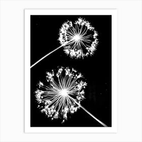 Black white alliums 1 Art Print