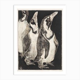 Three Penguins (1878–1906), Theo Van Hoytema Art Print