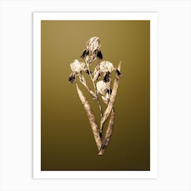 Gold Botanical Elder Scented Iris on Dune Yellow n.2254 Art Print