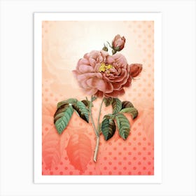 Gallic Rose Vintage Botanical in Peach Fuzz Polka Dot Pattern n.0289 Art Print