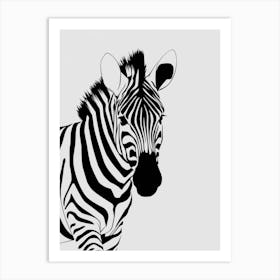 Zebra 3 Art Print