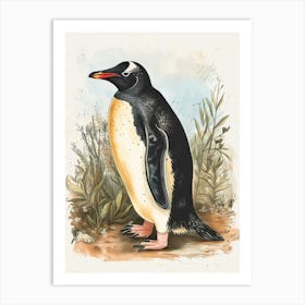 Adlie Penguin Phillip Island The Penguin Parade Vintage Botanical Painting 2 Art Print