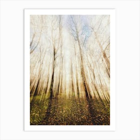 Autumn Forest Art Print