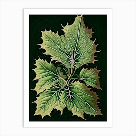 Siberian Ginseng Leaf Vintage Botanical 1 Art Print