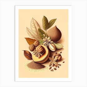 Nutmeg Spices And Herbs Retro Drawing 4 Art Print