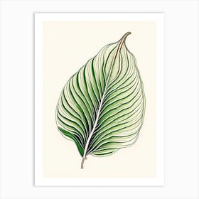 Hosta Leaf Warm Tones 3 Art Print