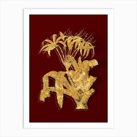 Vintage Crinum Erubescens Botanical in Gold on Red n.0374 Art Print