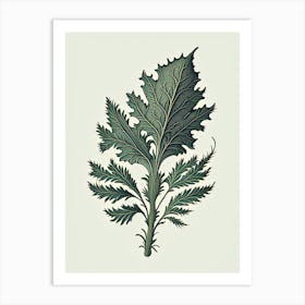 Pennyroyal Leaf Vintage Botanical 2 Art Print