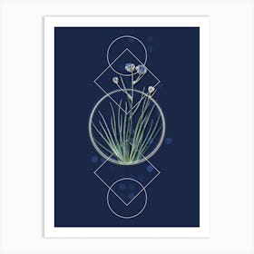 Vintage Blue Corn Lily Botanical with Geometric Line Motif and Dot Pattern n.0116 Art Print