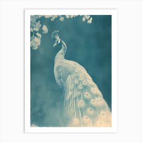 Vintage Peacock & Blossom Blue Art Print