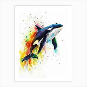 Killer Whale Colourful Watercolour 3 Art Print