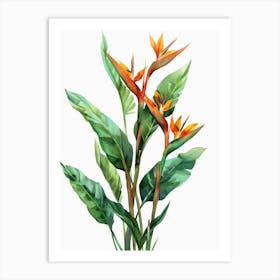 Bird Of Paradise 38 Art Print