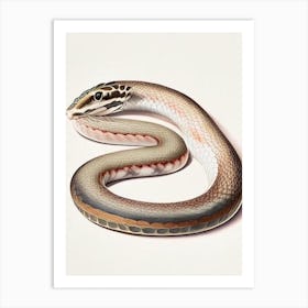 Smooth Snake 1 Vintage Art Print