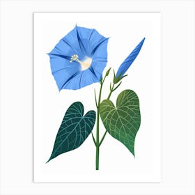 Morning Glory Flower Art Print