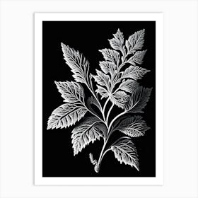 Calamint Leaf Linocut 1 Art Print