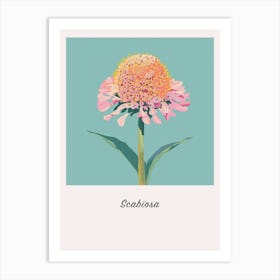 Scabiosa 2 Square Flower Illustration Poster Art Print