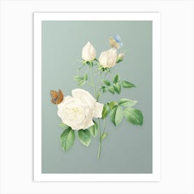 Vintage White Bengal Rose Botanical Art on Mint Green n.0111 Art Print