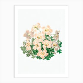 Pink Flowers 4 Art Print