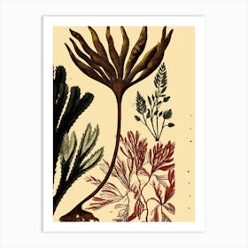 Botanical Illustration 2 Art Print