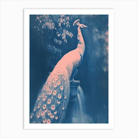 Peacock In The Fountain Pink & Blue Cyanotype Inspired 2 Art Print