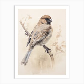 Vintage Bird Drawing Cowbird 2 Art Print