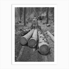 Untitled Photo, Possibly Related To Grant County, Oregon, Malheur National Forest , Diesel Caterpillar Tractor Snakin Art Print