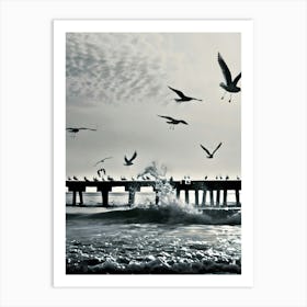 Seagulls On The Pier Art Print