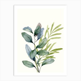 Eucalyptus branches watercolor 1 Art Print