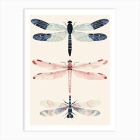 Colourful Insect Illustration Dragonfly 2 Art Print