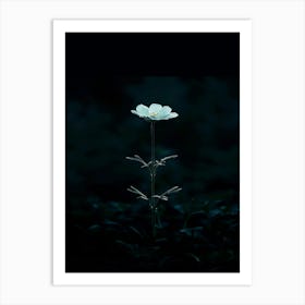 Single Flower In The Dark 66 Art Print