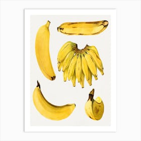 Bananas 1 Art Print