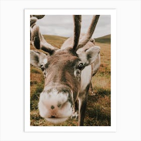 Reindeer Nose Art Print