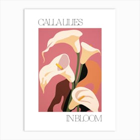 Calla Lilies In Bloom Flowers Bold Illustration 3 Art Print