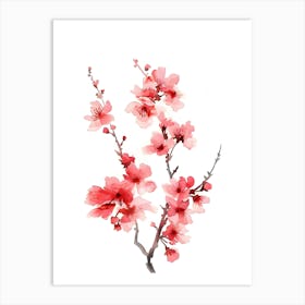 Watercolor Cherry Blossoms 4 Art Print