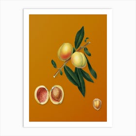 Vintage Peach Botanical on Sunset Orange n.0857 Art Print