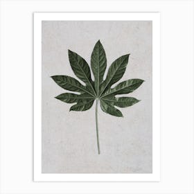 Aralia Leaf Art Print