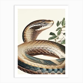 Egyptian Cobra Snake Vintage Art Print