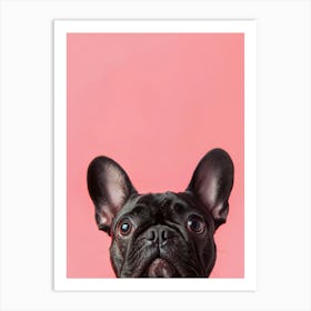 French Bulldog Portrait.Generated AI. Art Print 3 Art Print