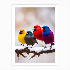 Colorful Birds Art Print