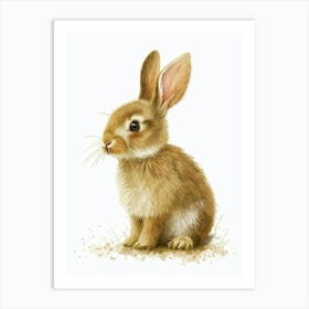 Britannia Petite Rabbit Nursery Illustration 3 Art Print
