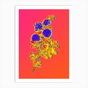 Neon Germander Meadowsweet Botanical in Hot Pink and Electric Blue n.0168 Art Print
