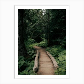 Green Forested Pathway Art Print