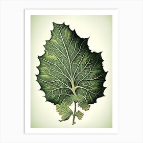 Madder Leaf Vintage Botanical 2 Art Print