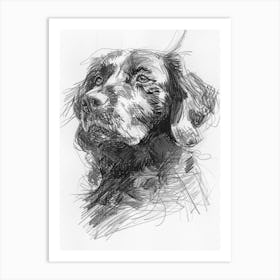 American Water Spaniel Dog Charcoal Line 2 Art Print