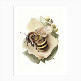 Hibernation Bee 2 Vintage Art Print