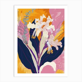 Colourful Flower Illustration Cineraria 8 Art Print