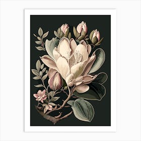 Magnolia Wildflower Vintage Botanical Art Print