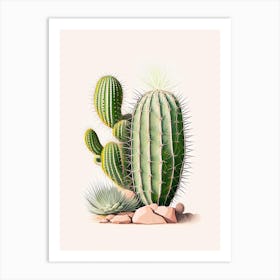 Echinocereus Cactus Marker Art 2 Art Print
