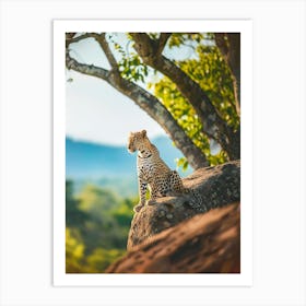 Leopard Sitting On A Rock Art Print